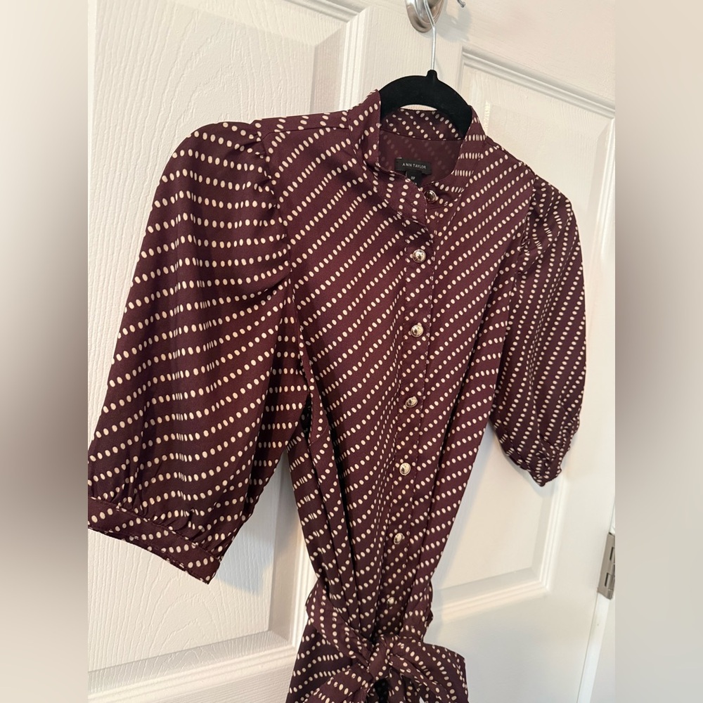 Ann Taylor Button Up Polka Dot Dress - Picture 6 of 13